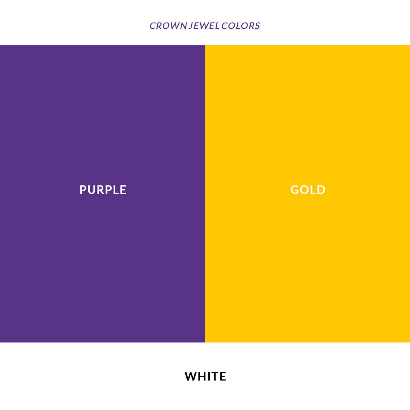 Lakers coach Color Palette